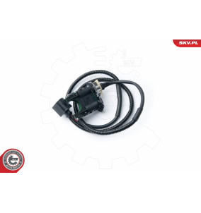 17SKV304