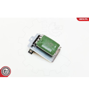 95SKV013