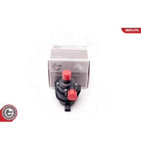 22SKV011