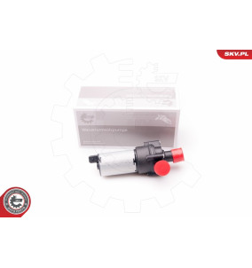 22SKV009