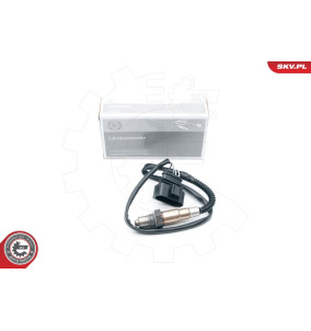 09SKV616
