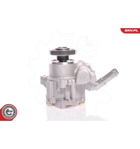 10SKV165