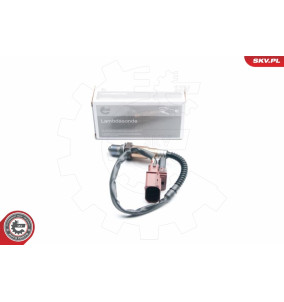 09SKV871