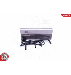 53SKV009