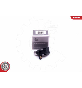 17SKV489