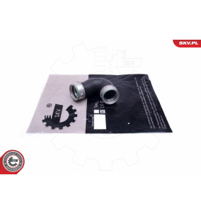 24SKV025