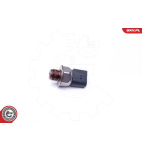 17SKV409
