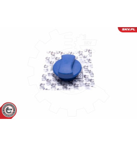 61SKV013