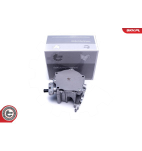 18SKV060