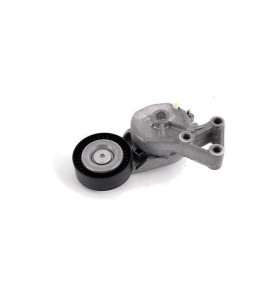 QUINTON HAZELL QTA895 Tenditore Cinghia Servizi – Per VW Golf, Polo, Seat Ibiza, Leon